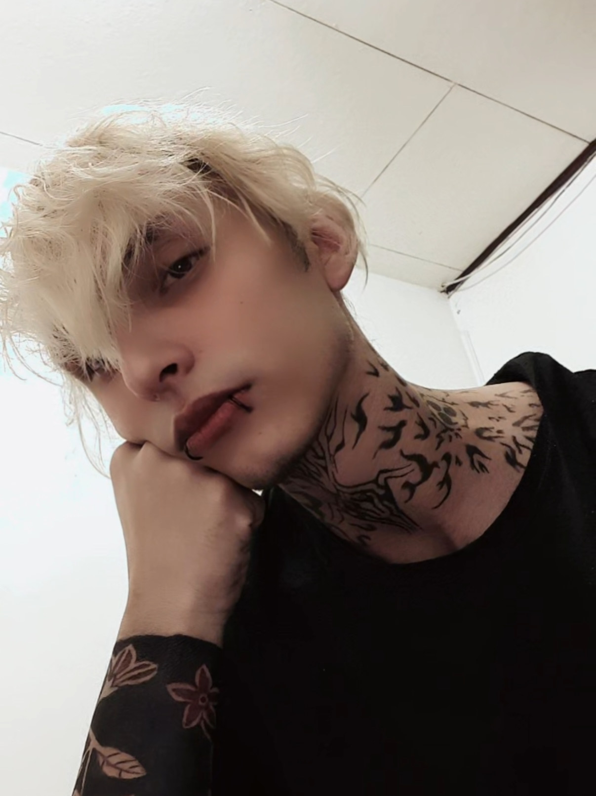 @Draco