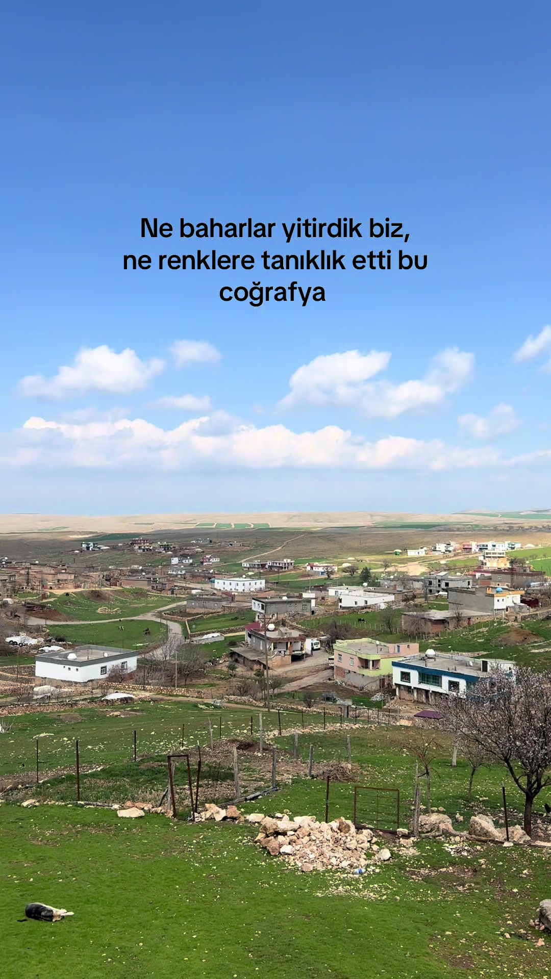 @ÖzgeN