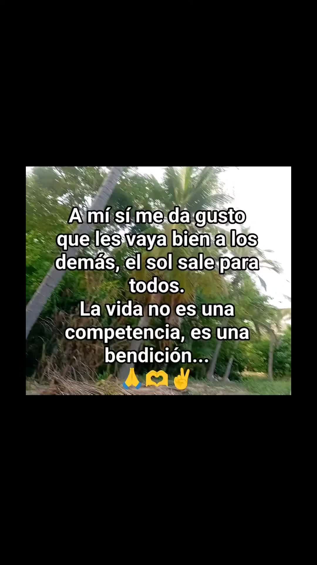 @🌸GINA CIENDUA 🌸