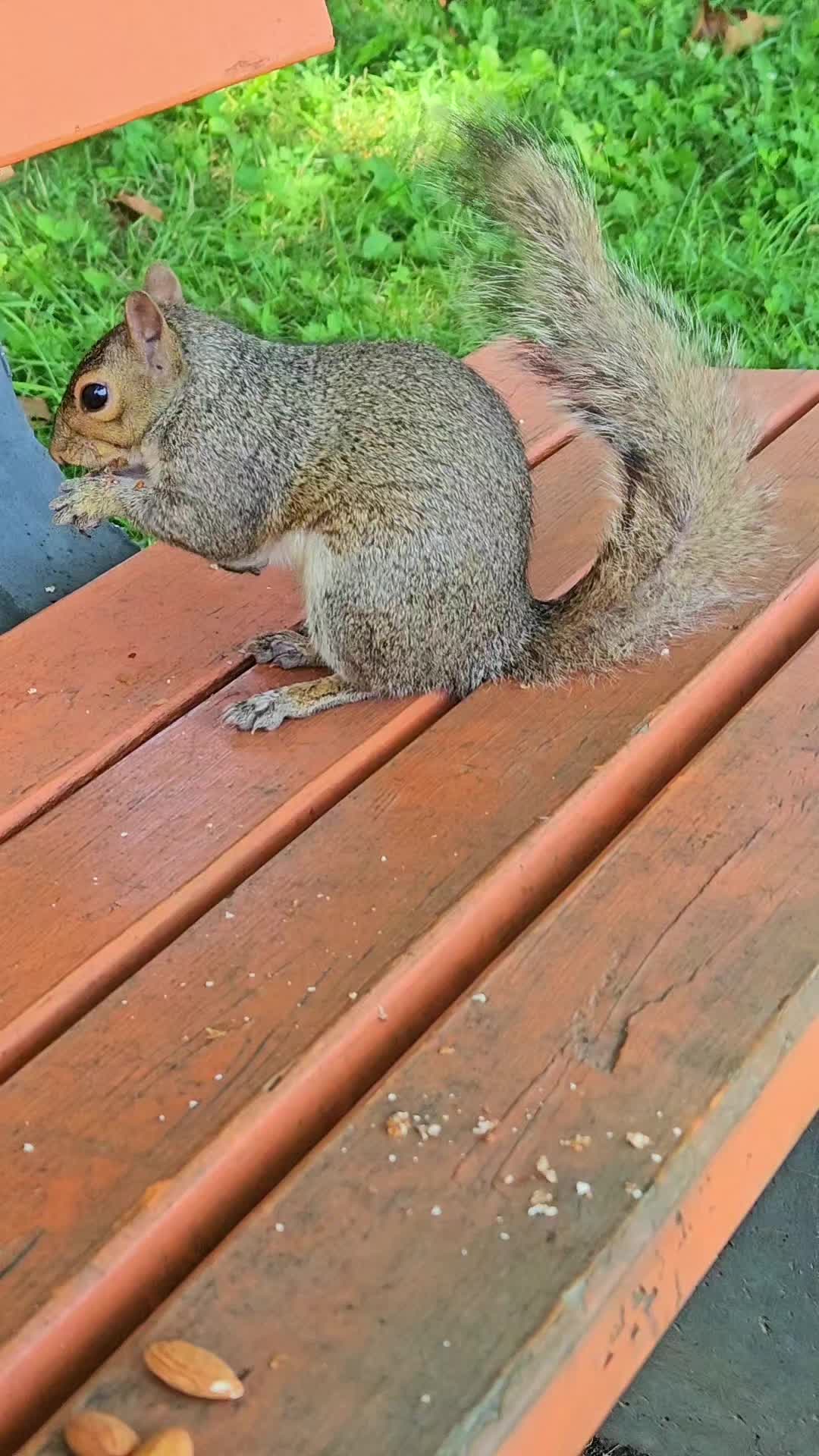 @cschultz2