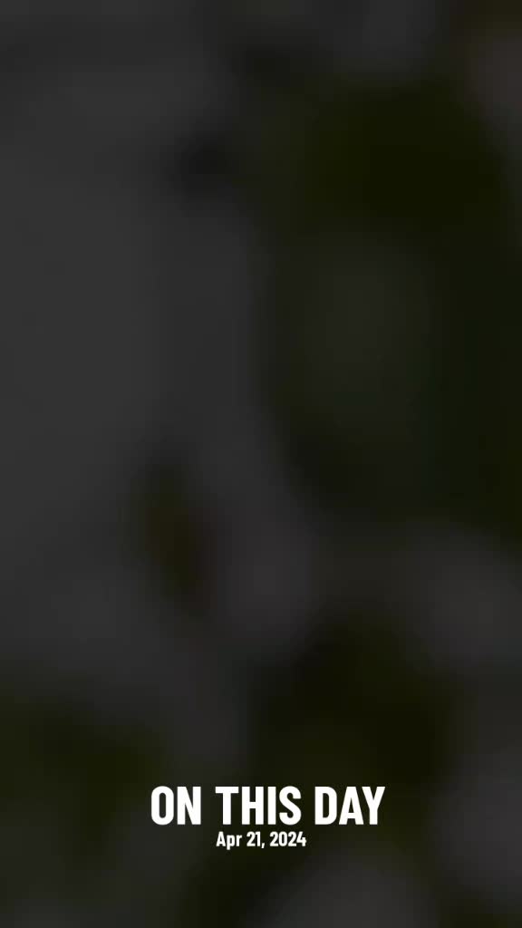 @𒆜🅼🅳 🆂🅰🅻🅼🅰🅽𒆜