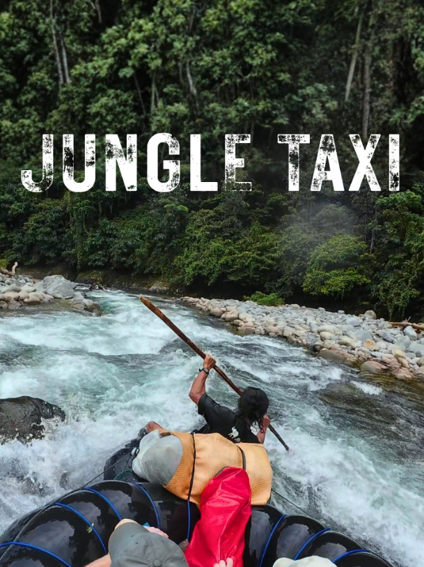 @The Jungle Guide
