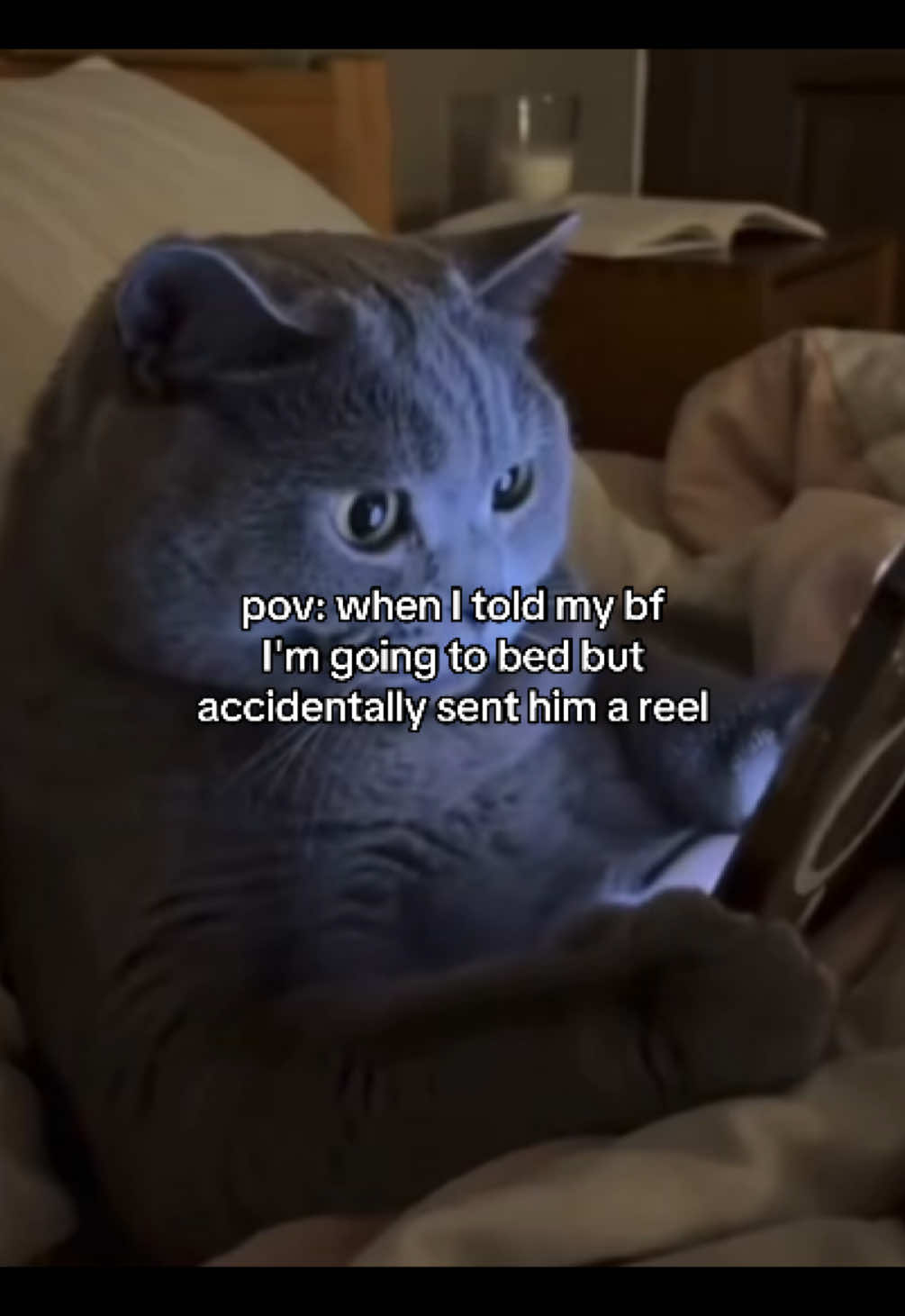 @Alice.cattok
