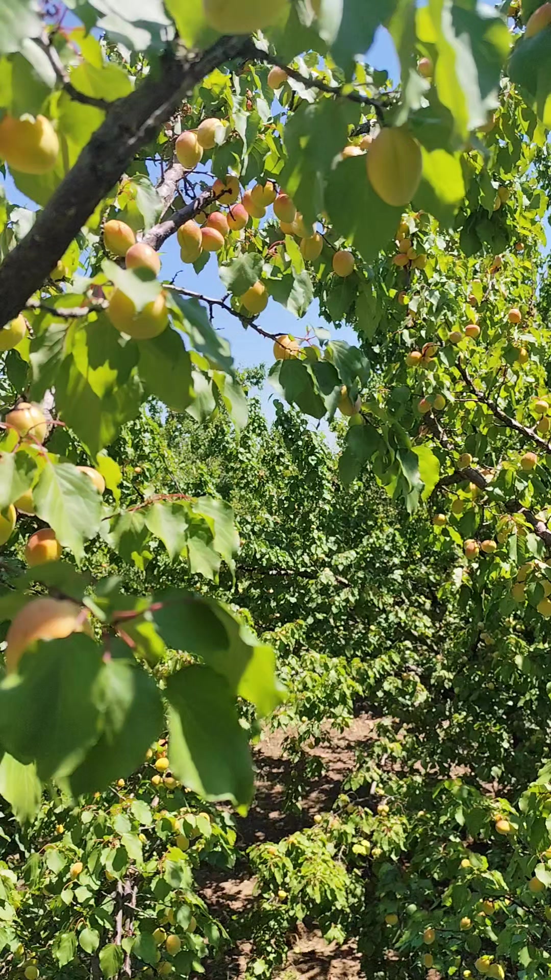 @aldırmaz⚔️63