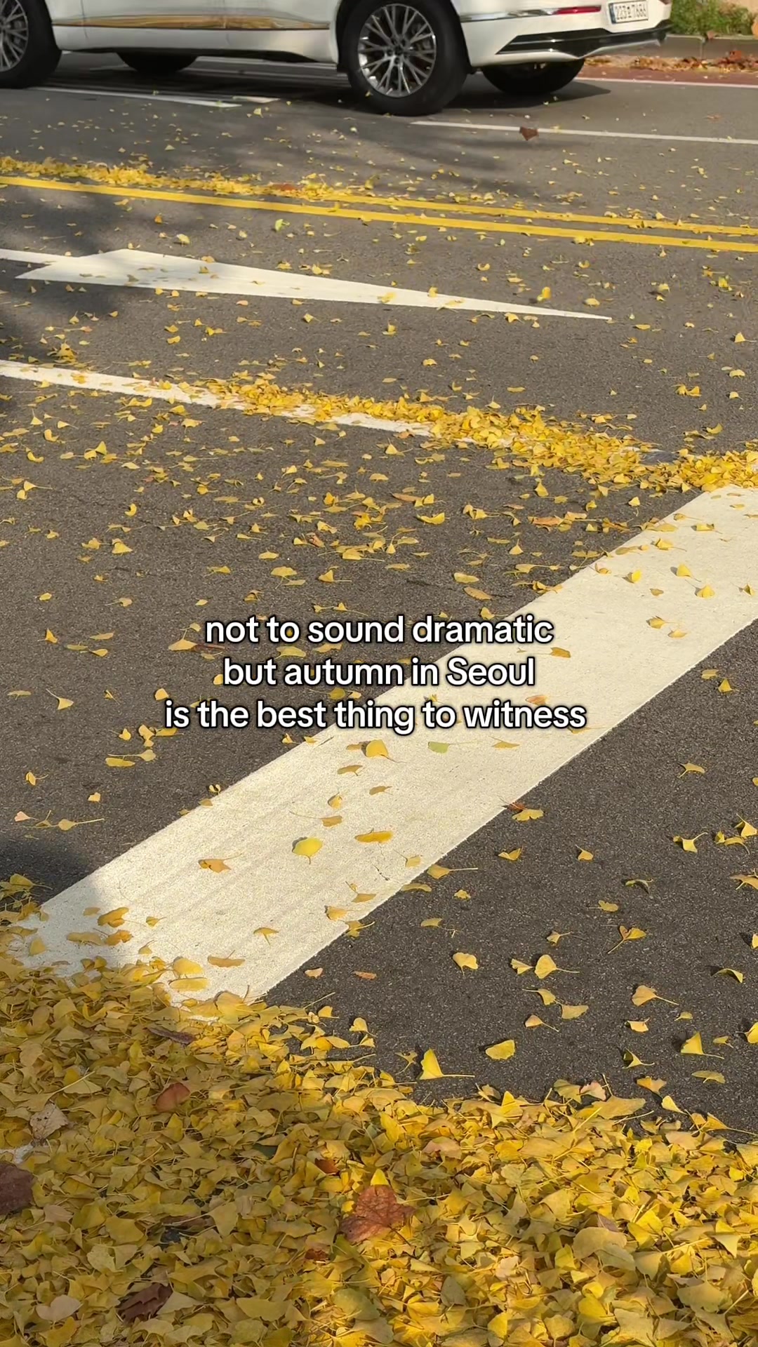 @Angelina Danilova
