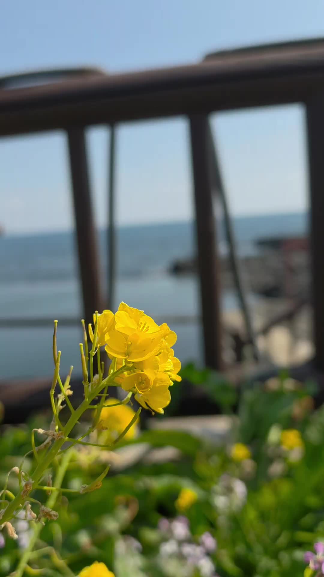 @✨️ 범수생각 ✨