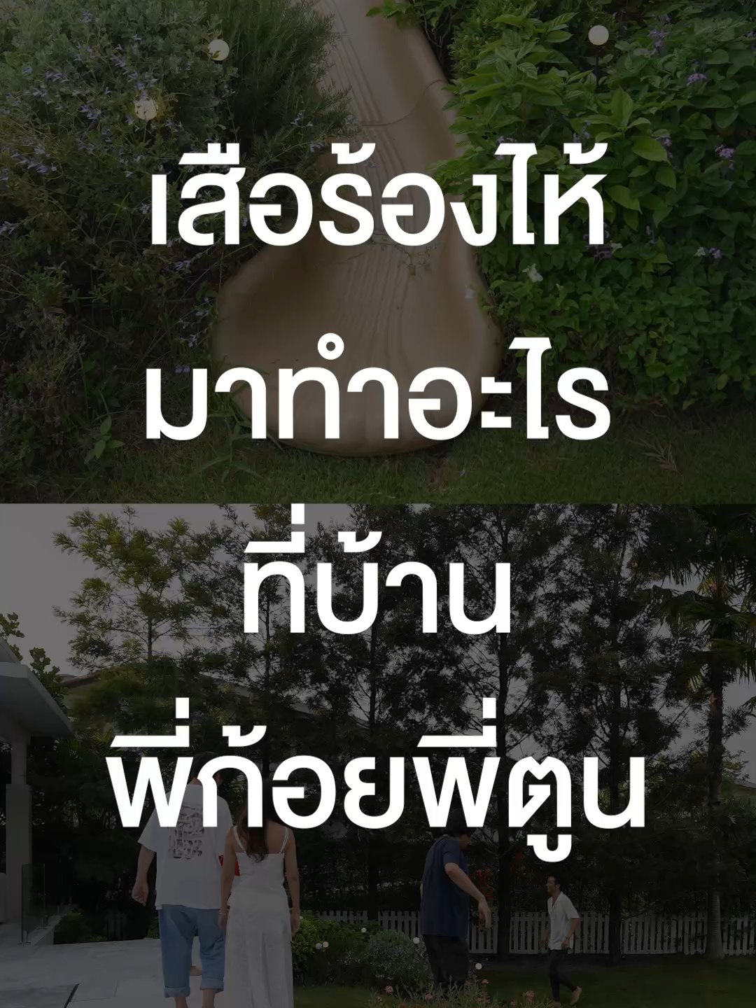 @เสือร้องไห้