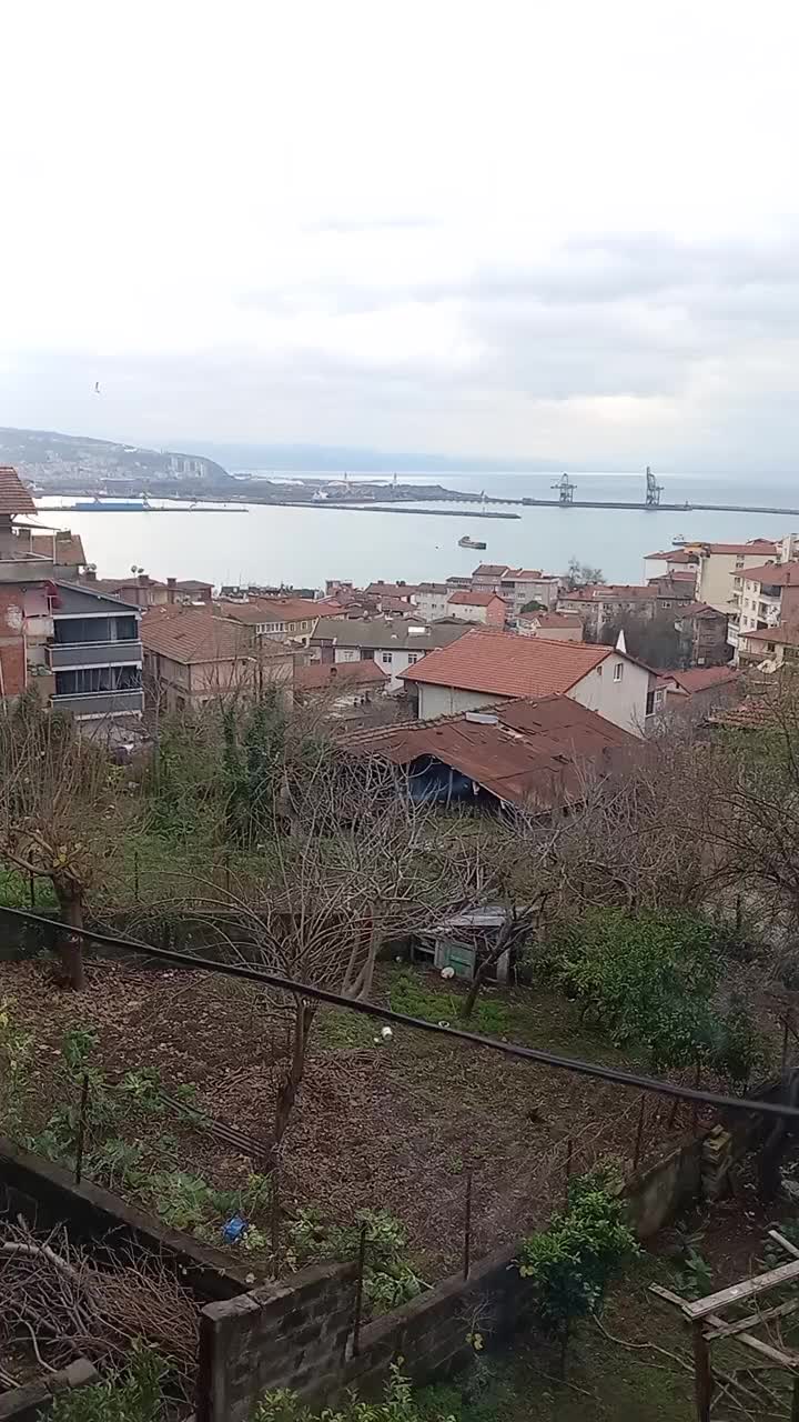 @🍃B🌼A🌼H🌼A🌼R🍂