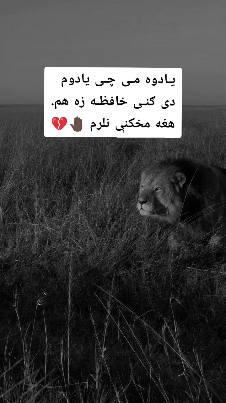 @ཀོ لـیــونـͫــͣــͥوو ཀོ