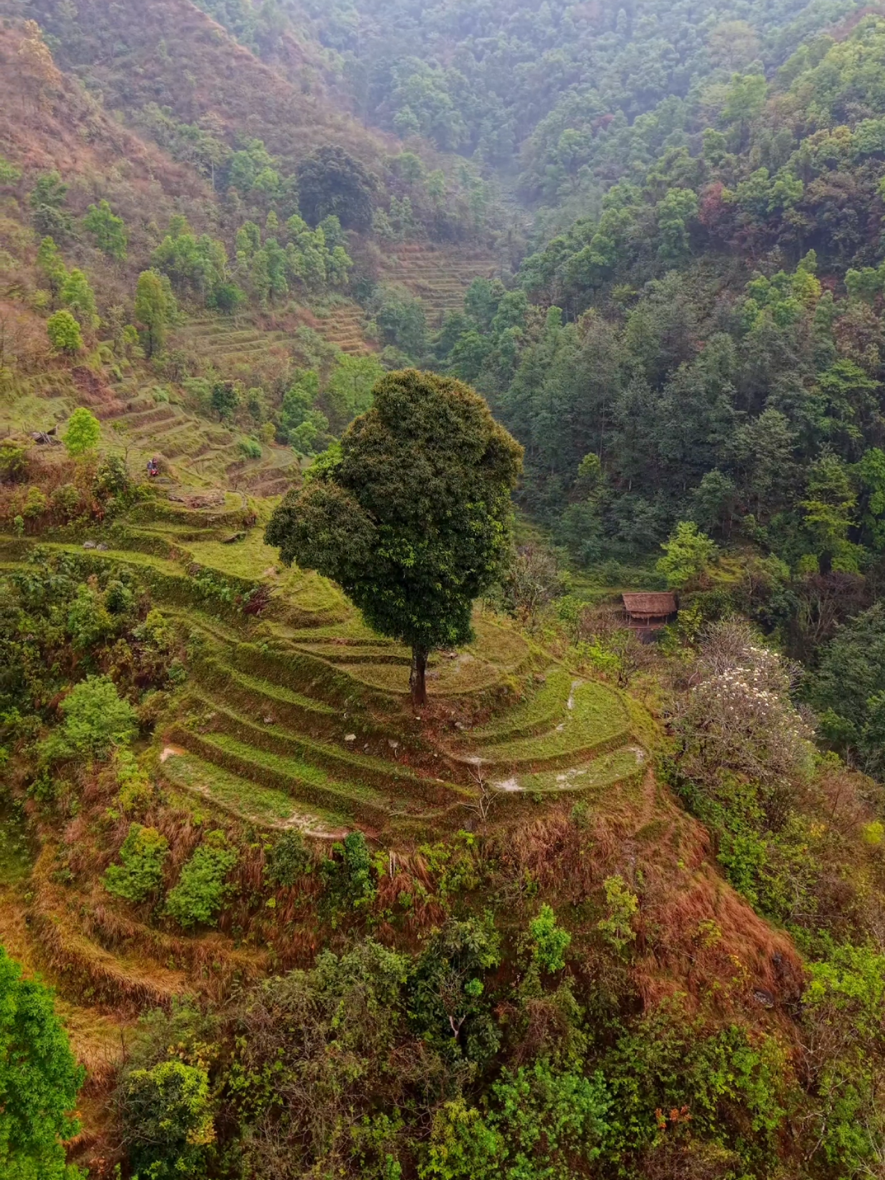 @Nepali Rider