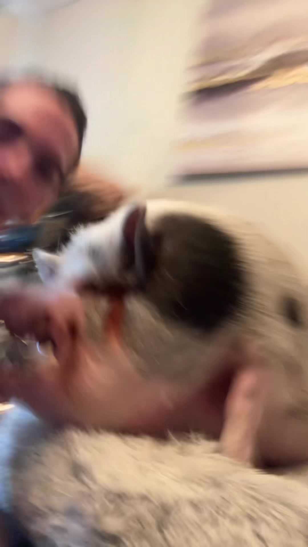 @gabeybabey