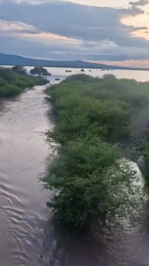 @irapuatoguanajua7
