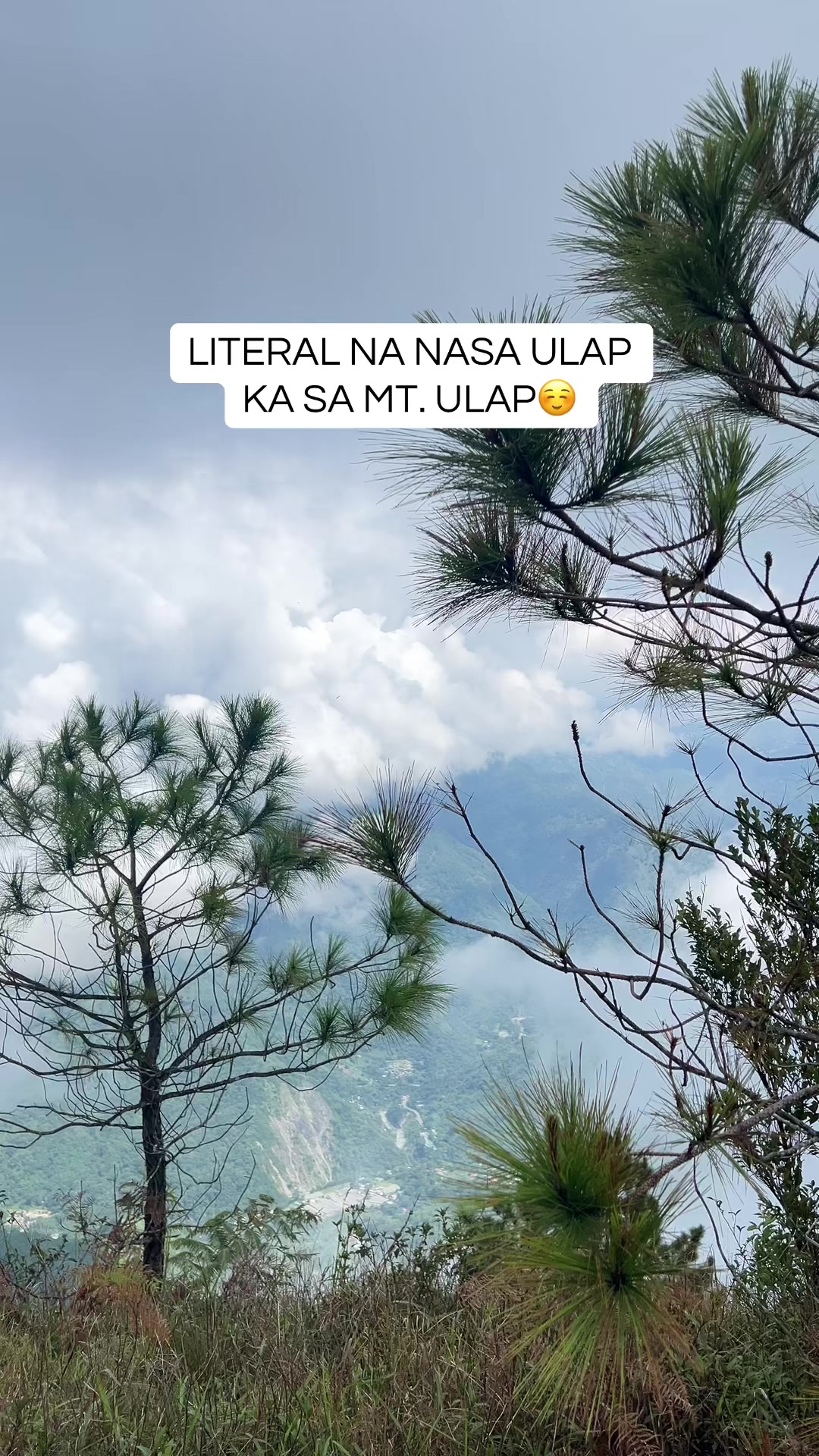 @Larry Peñarubia🍃