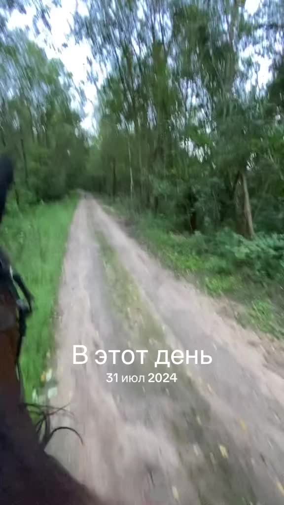 @umago.vitebsk