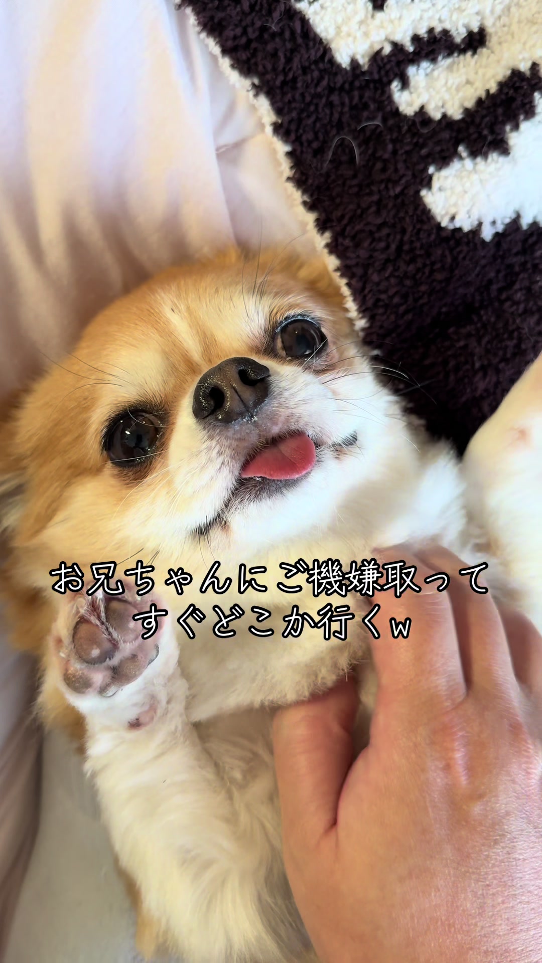 @心太