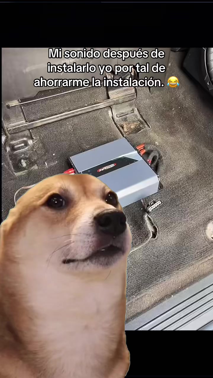 @VELOX AUDIO GT