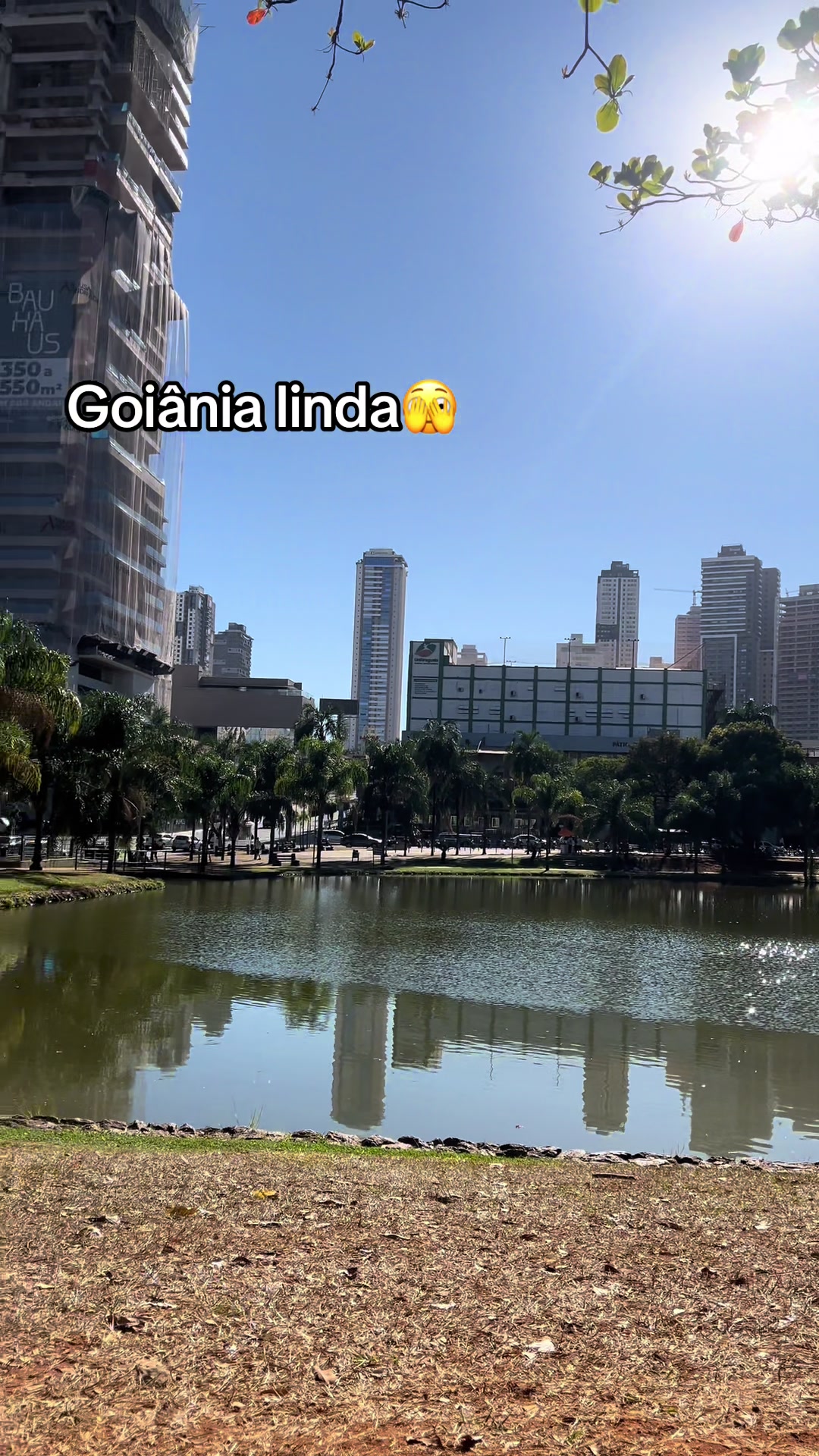 @Paixão Goiana