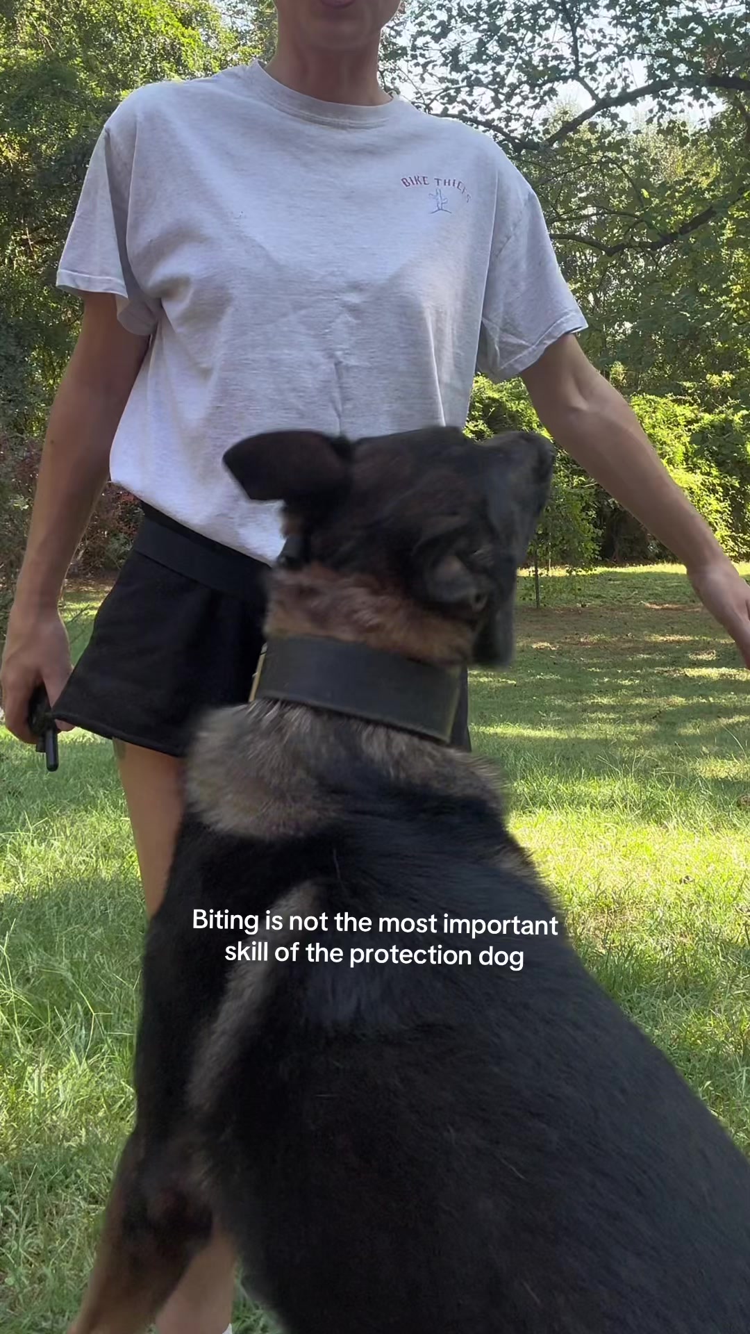 @True Guard K9 I Tara