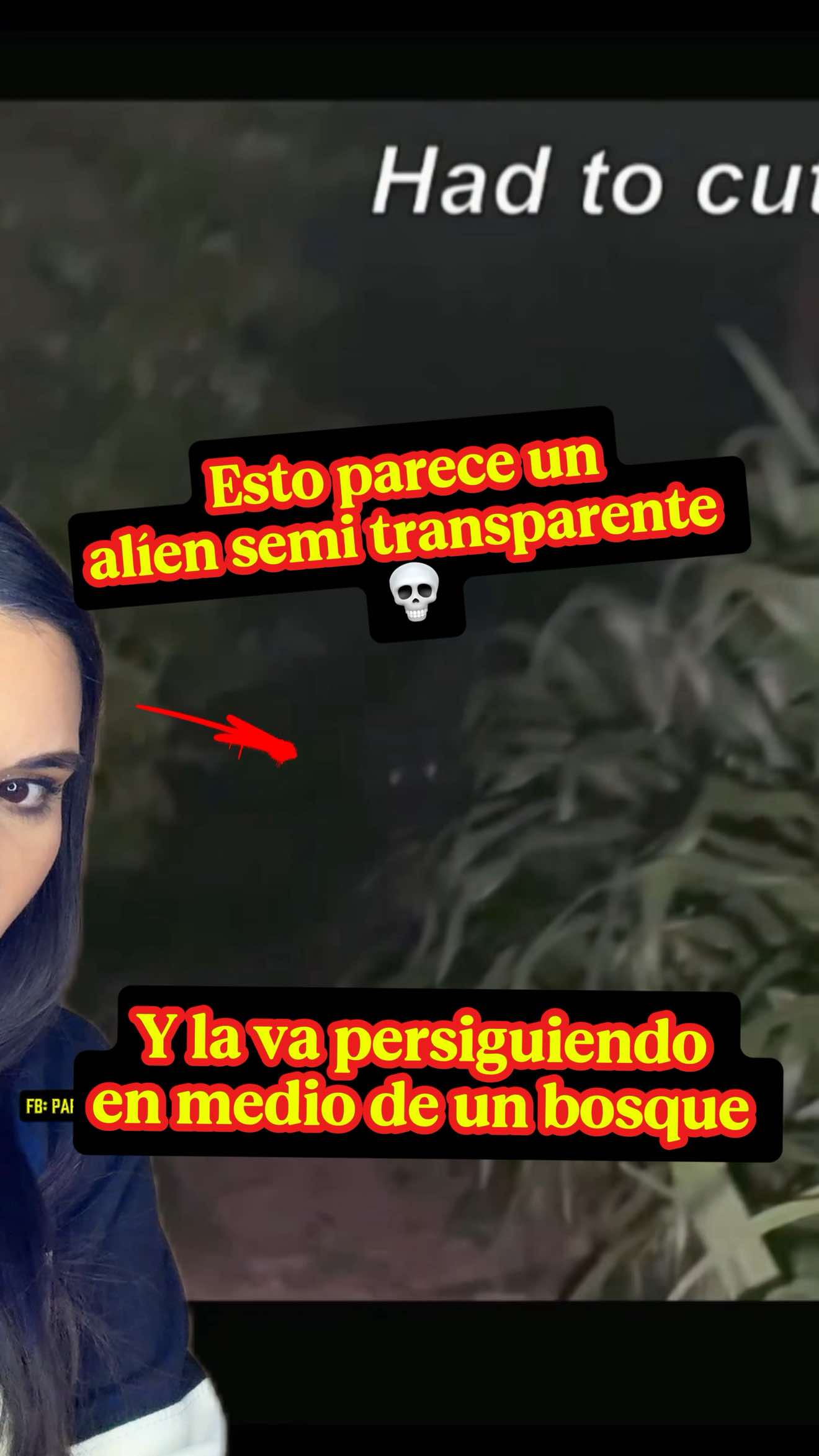 @Mar&iacute;aJos&eacute; Arce