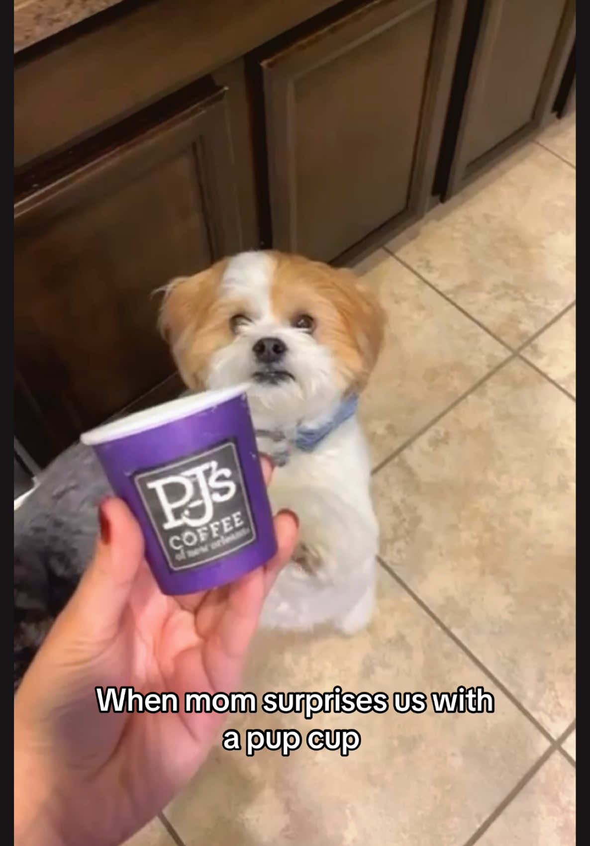 @Bear & Pearl 🐶 🐕&zwj;🦺