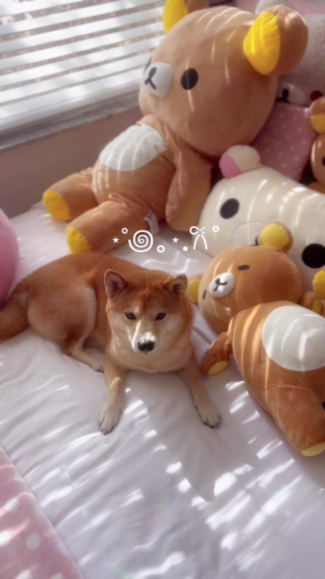 @Fab ⍝ʕ&acute;&bull;ᴥ&bull;`ʔ⍝ !!