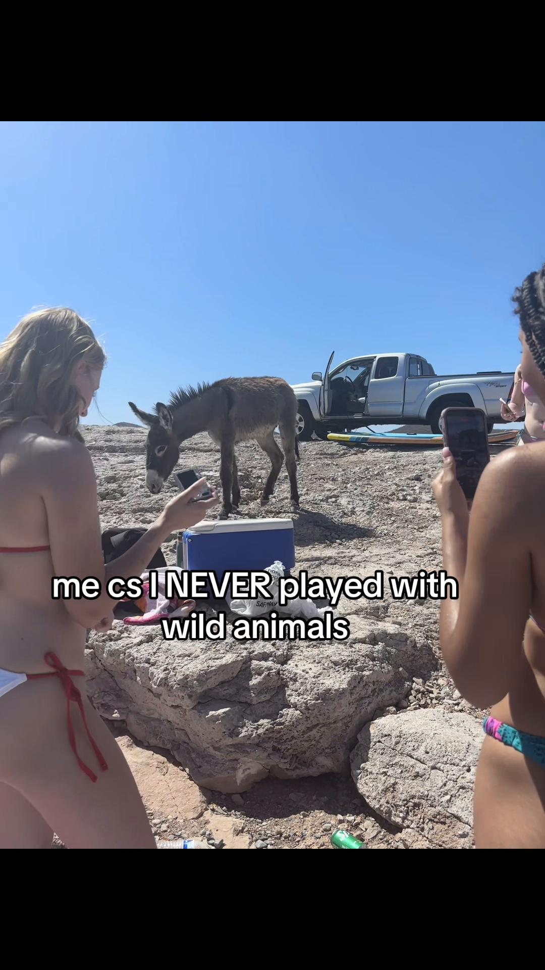 @Ari