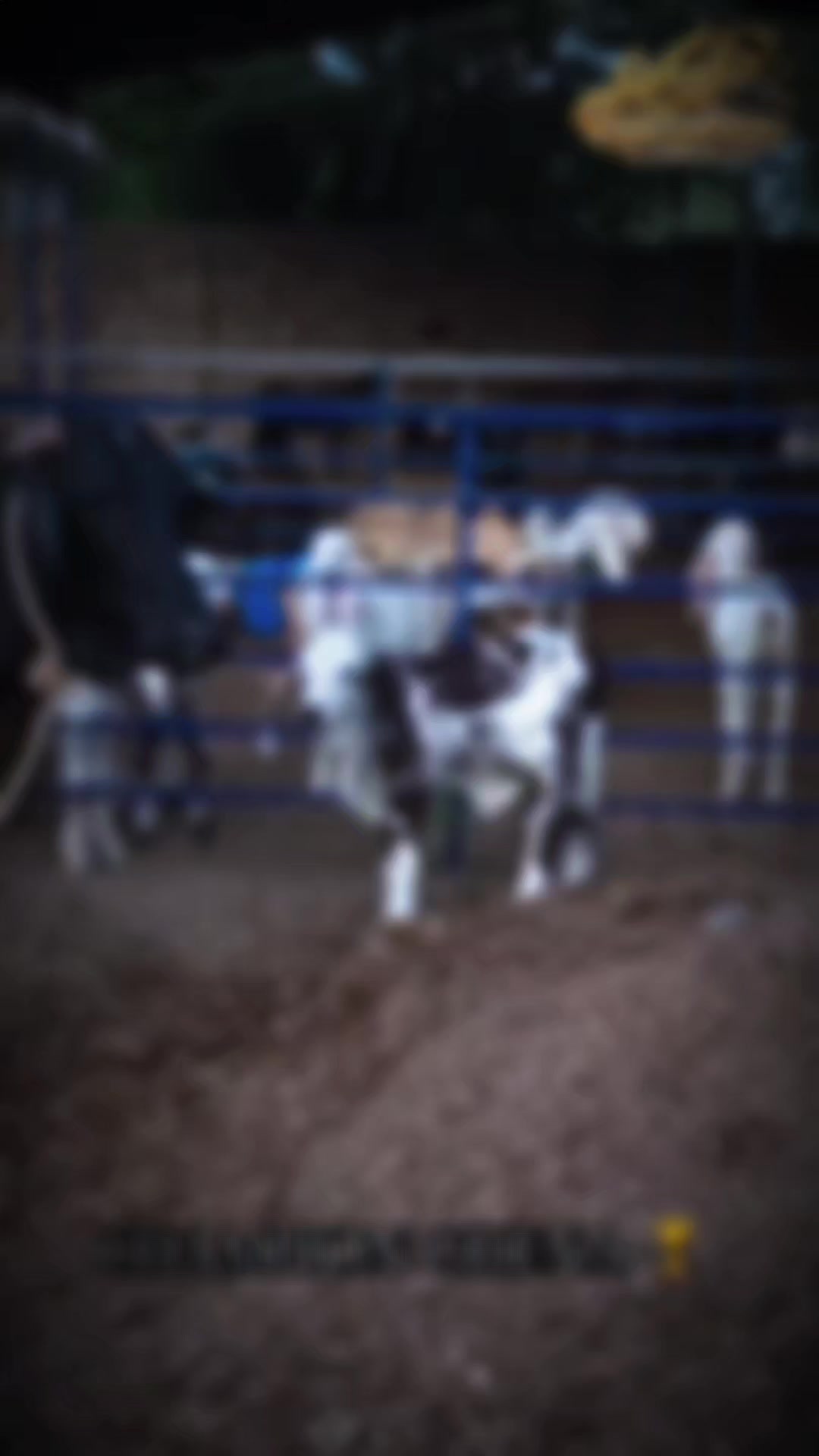 @𝐓𝐇𝐄 𝐂𝐀𝐓𝐓𝐋𝐄 𝐅𝐀𝐑𝐌 &trade;
