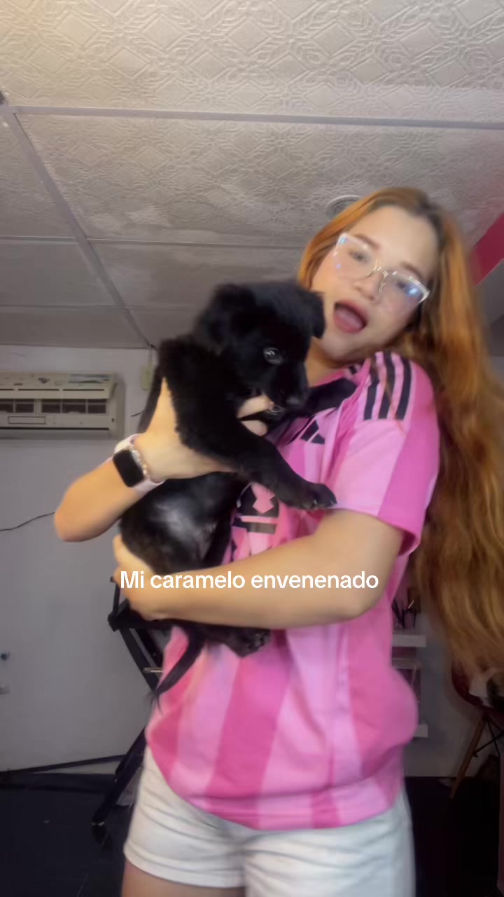@๐จ๐๐๐๐โก