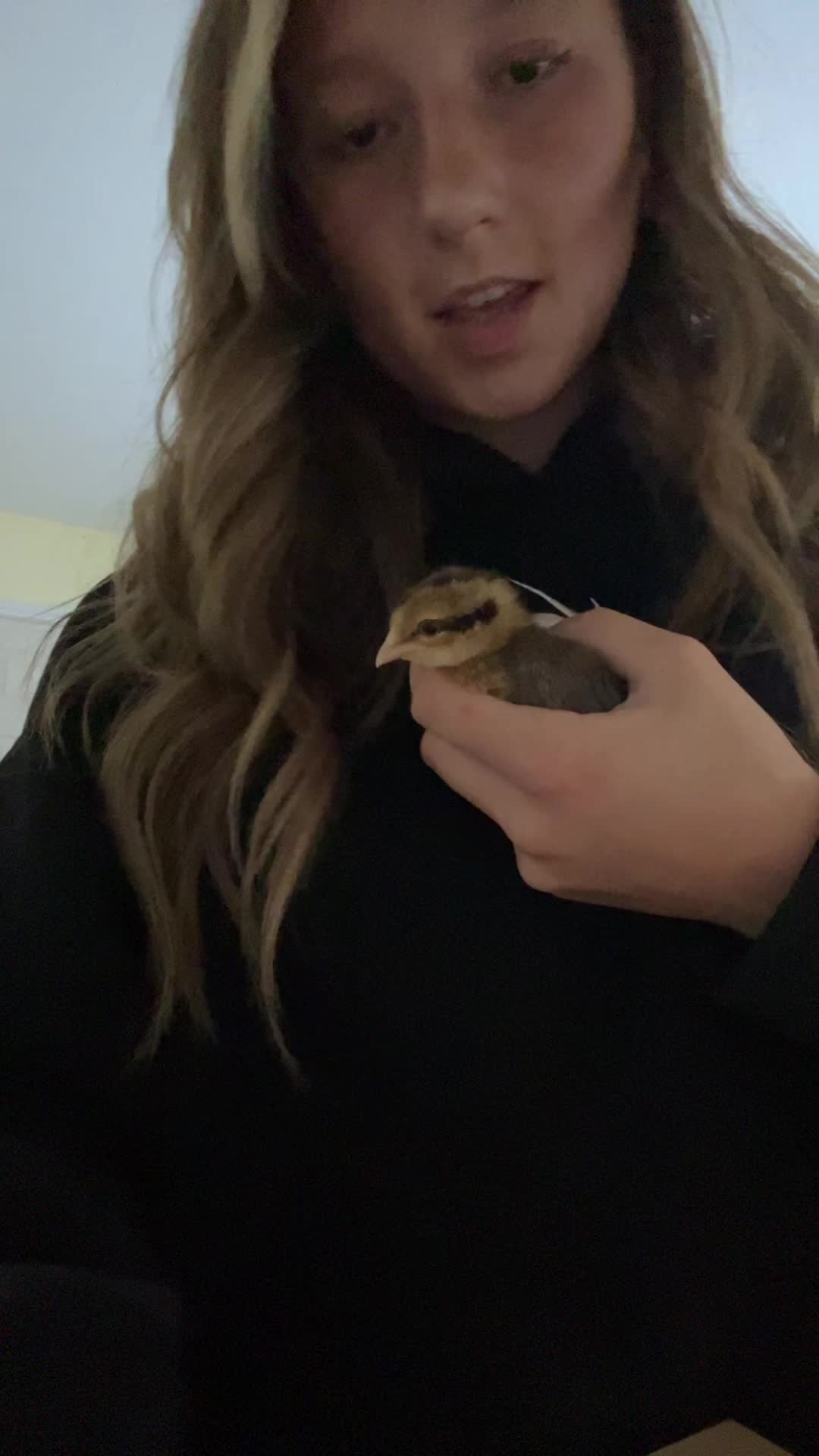 @🐢🐢