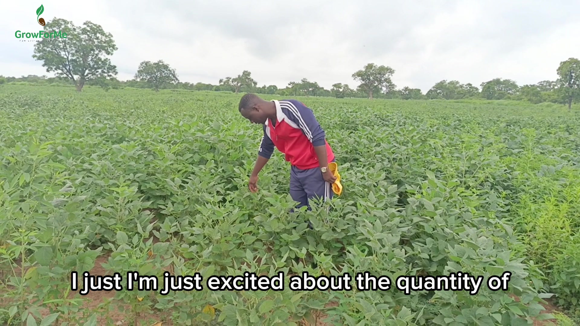@growformeafrica