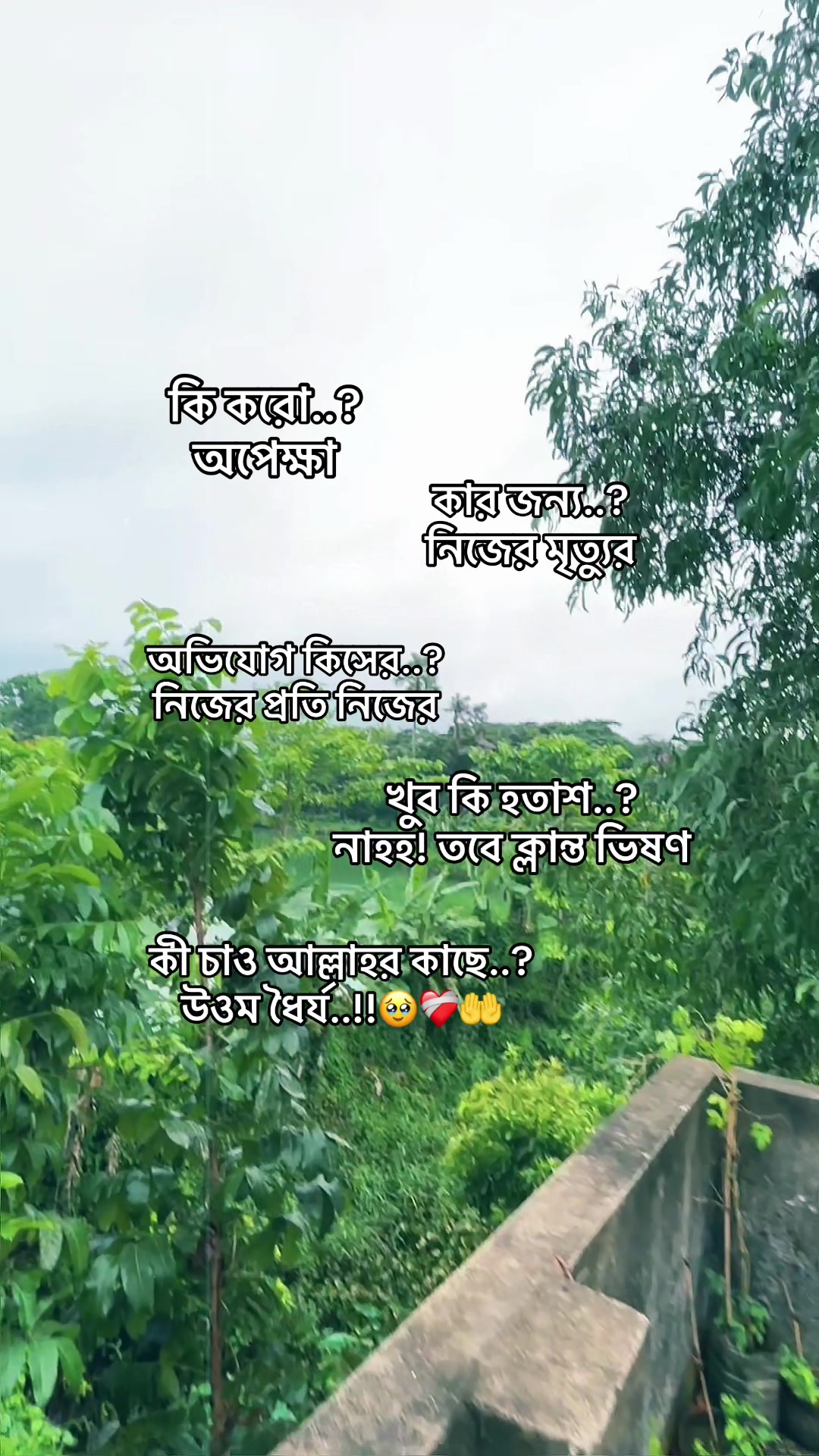 @đ_đĩđđđđđ_đ