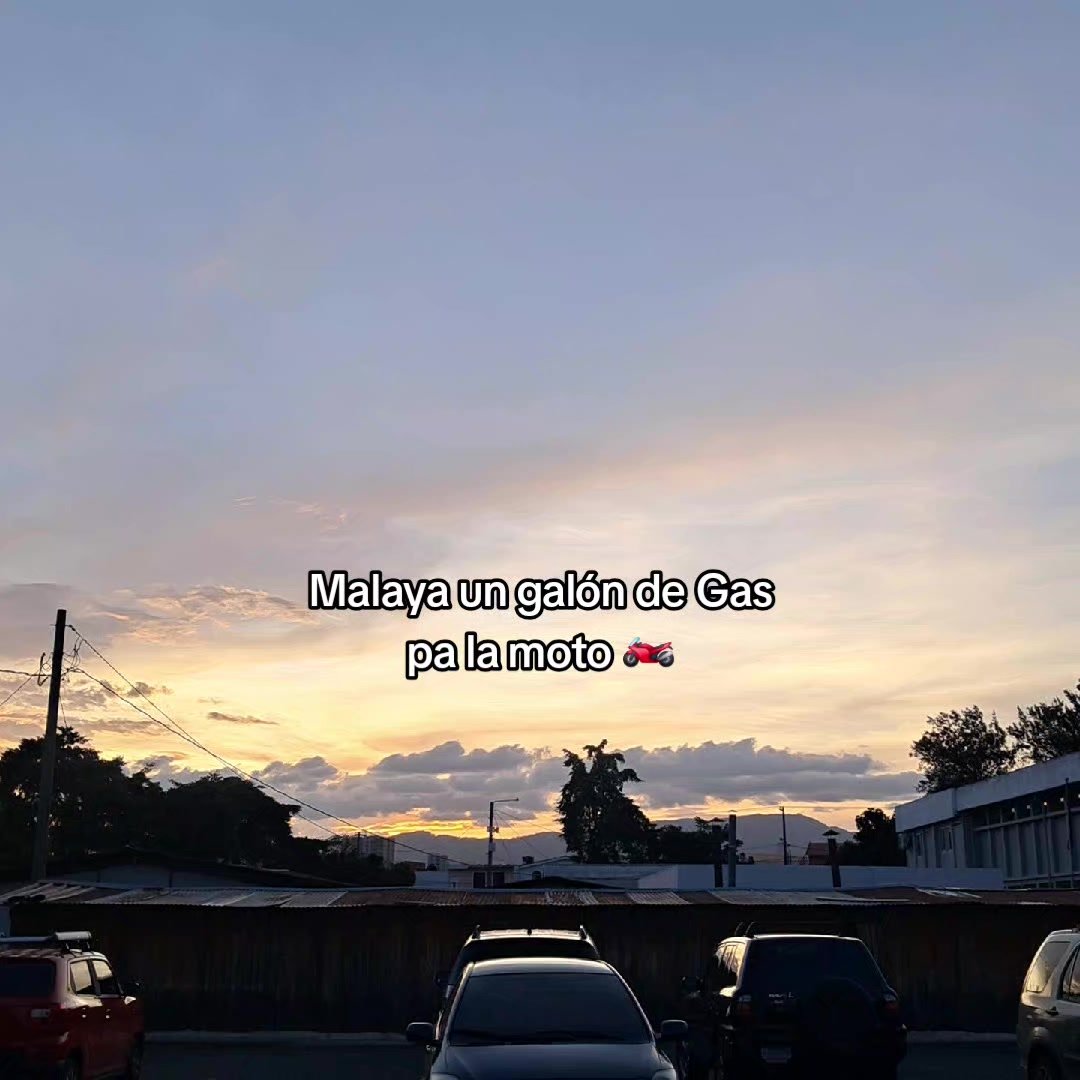@erickson🕷