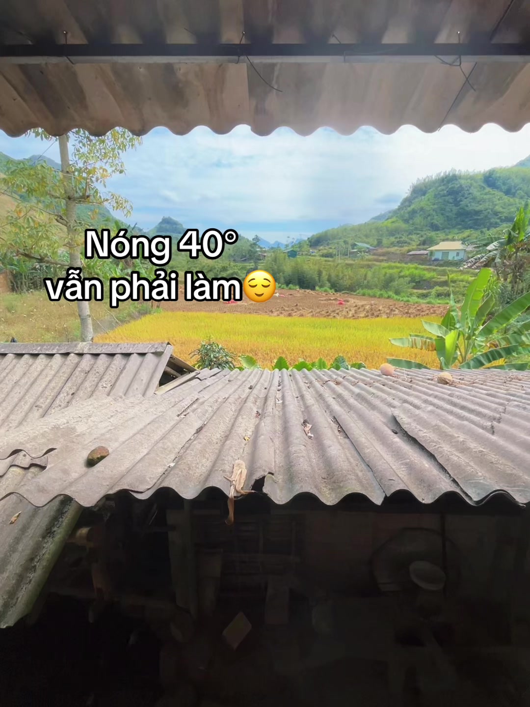 @LÍU 🇻🇳☣️