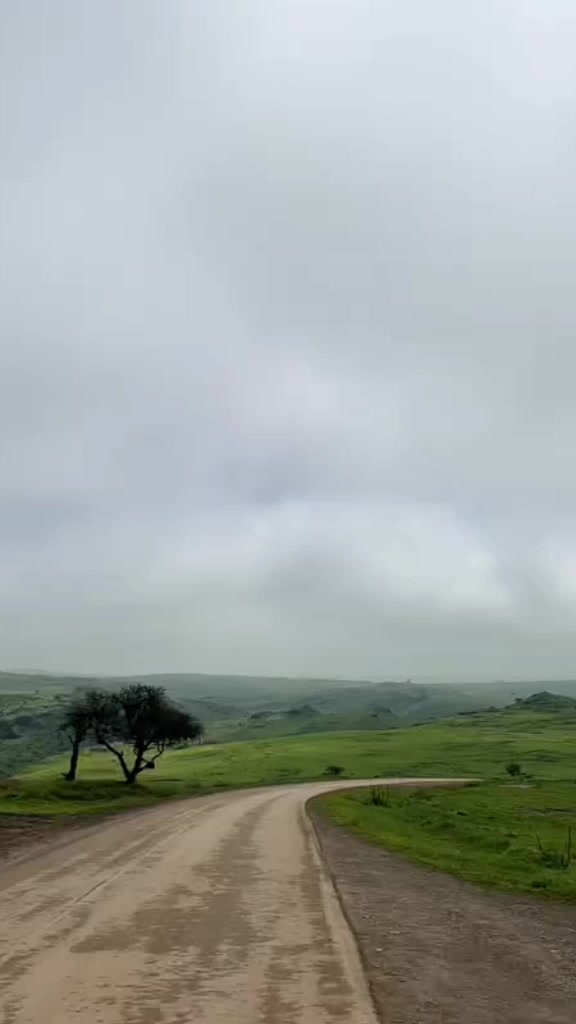 @S.S.L