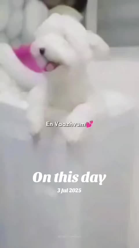 @๐ฉต๐ๆฏ่ๅก๐ฉต๐