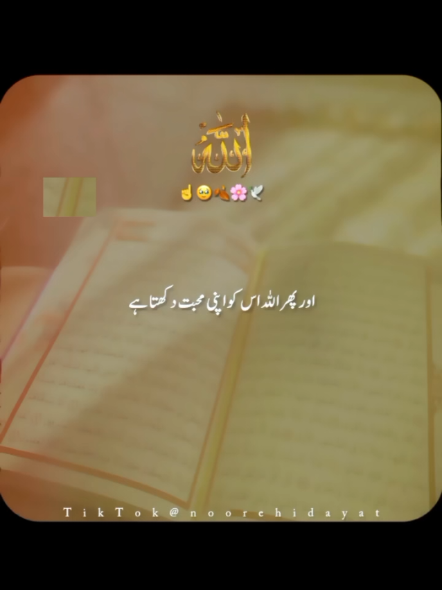 @Noor-e-Hidayat