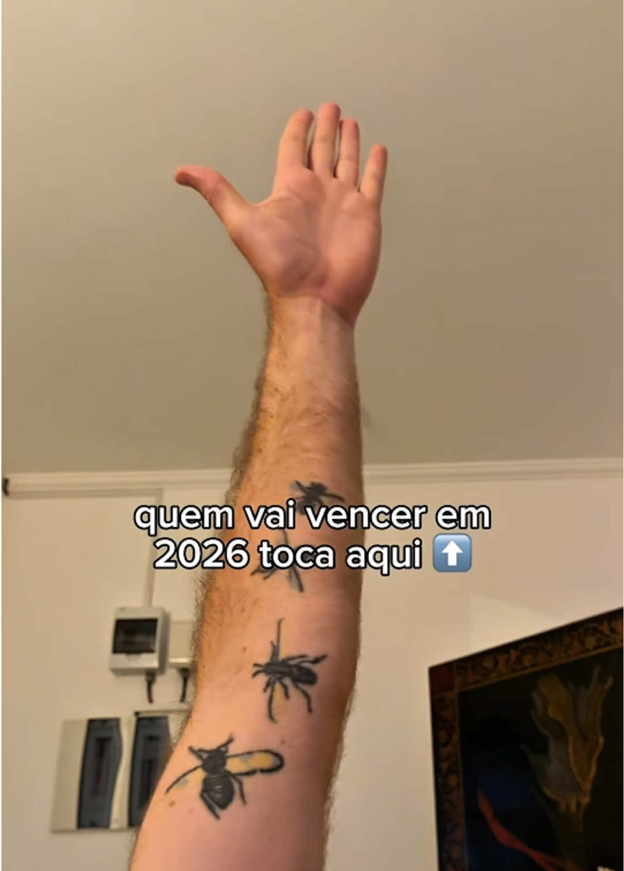 @vira-lata caramelo