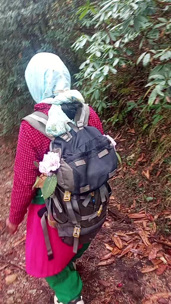 @santu maya tamang🌼🌺