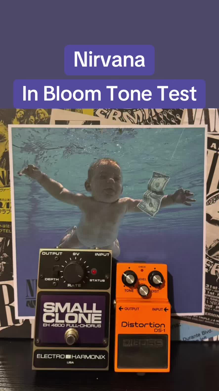 @twin_reverb_