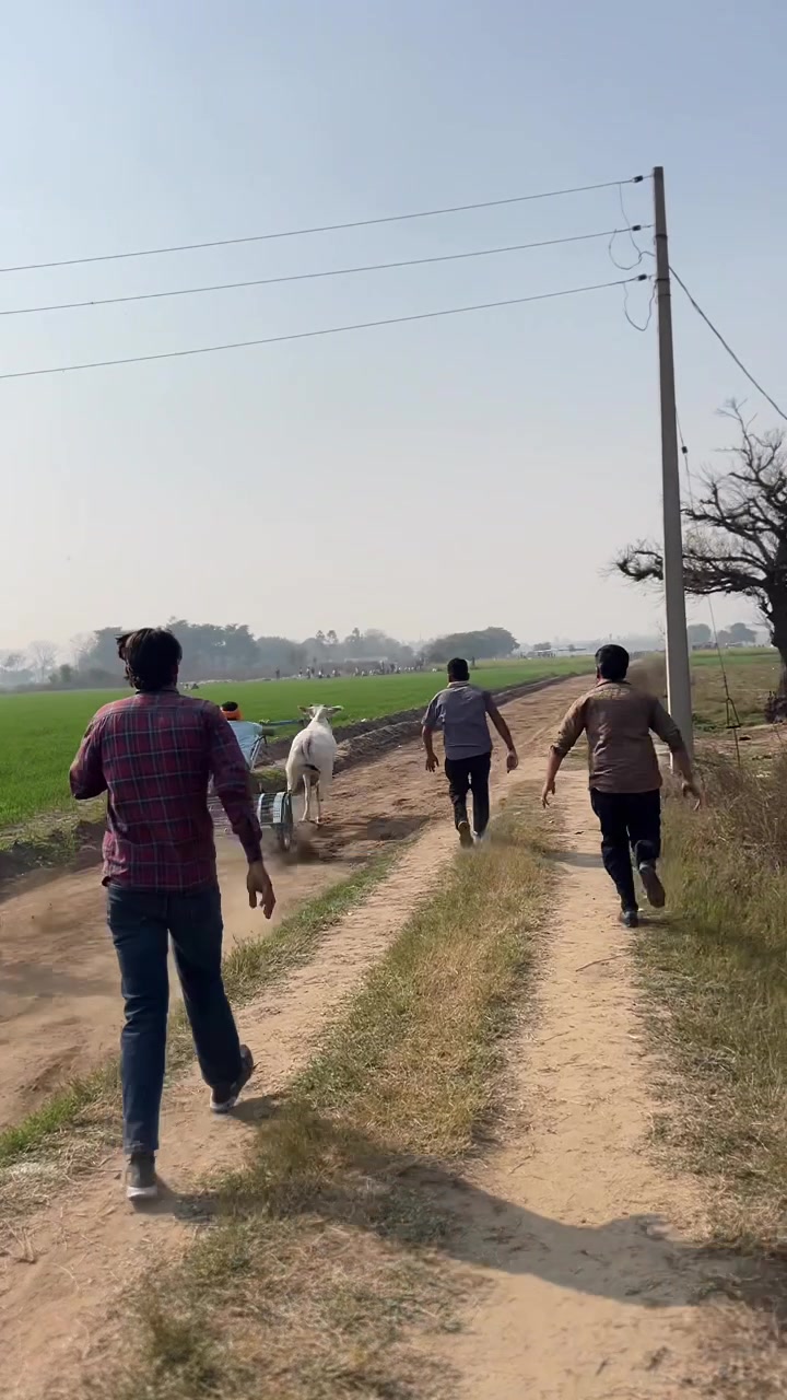 @JATT SHONKI BALDA DE