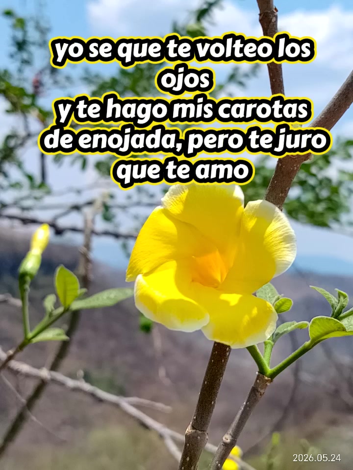 @Patricia Loza