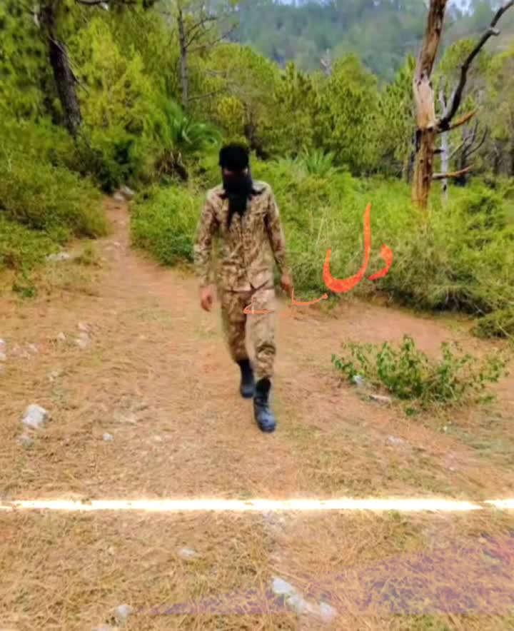 @"⑅⃝➽Ali fauji❥ "🧸🇵🇰"