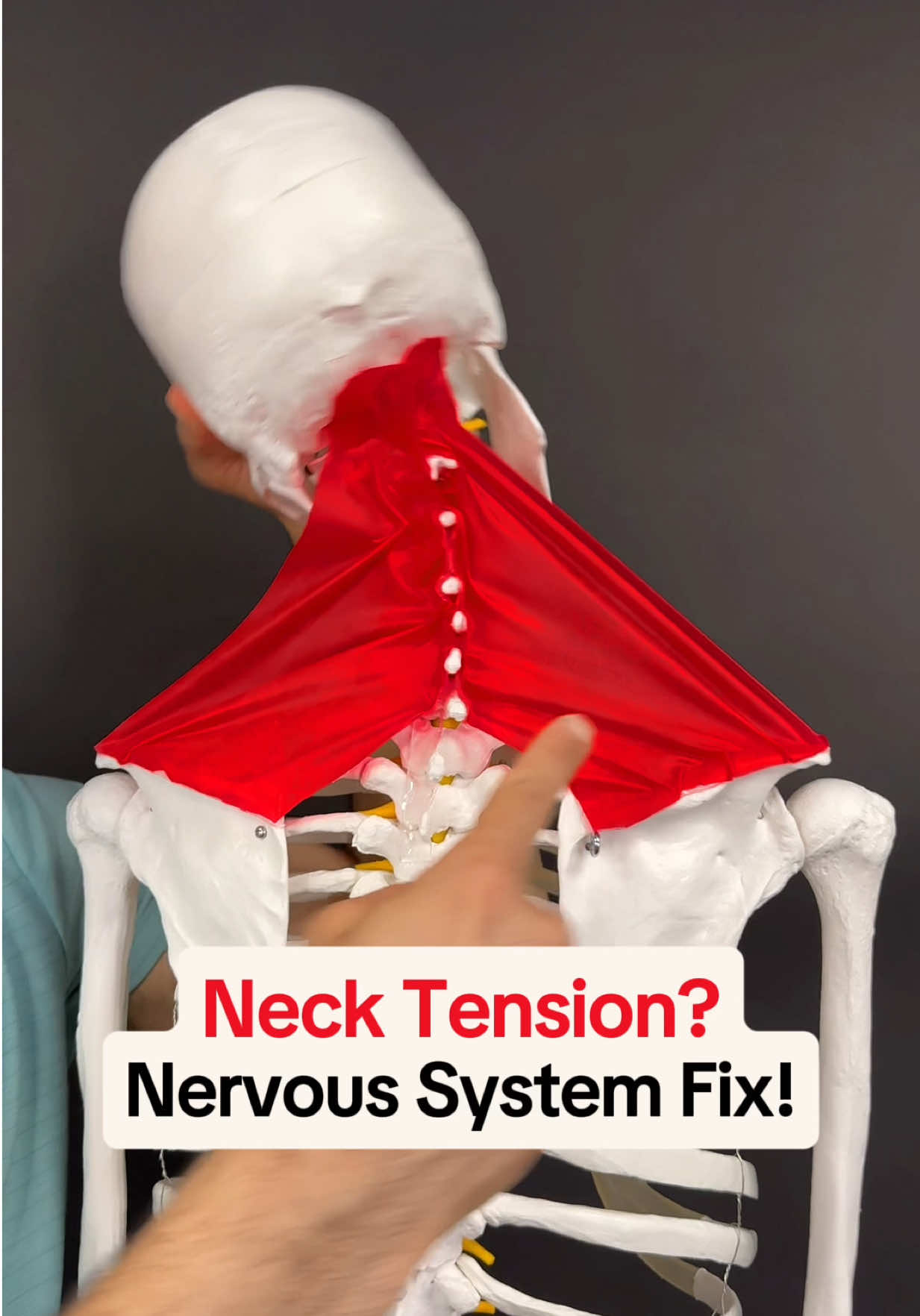 @Dr. Joe Damiani, DPT