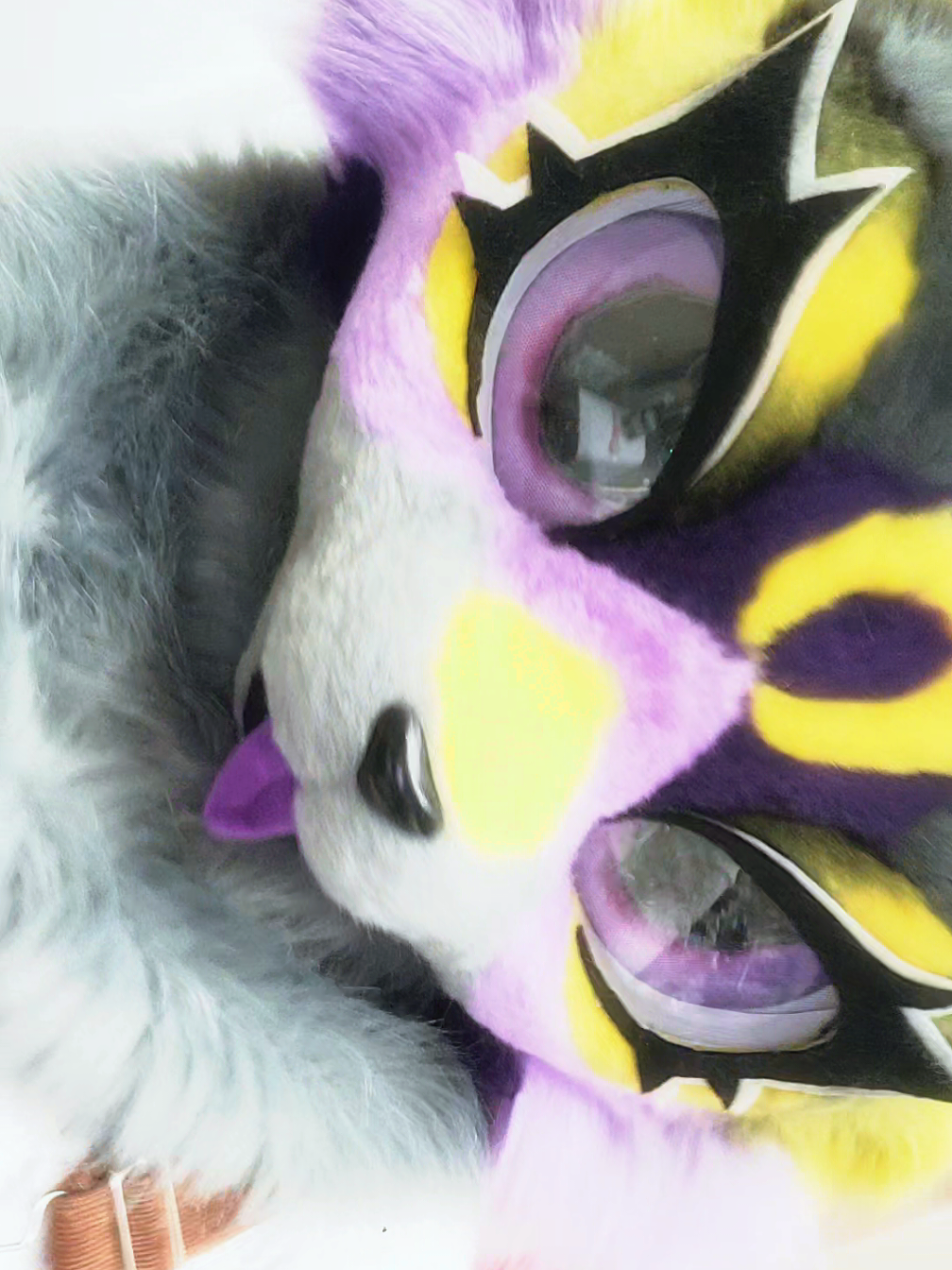 @˖°SmittenKitten⋆˚