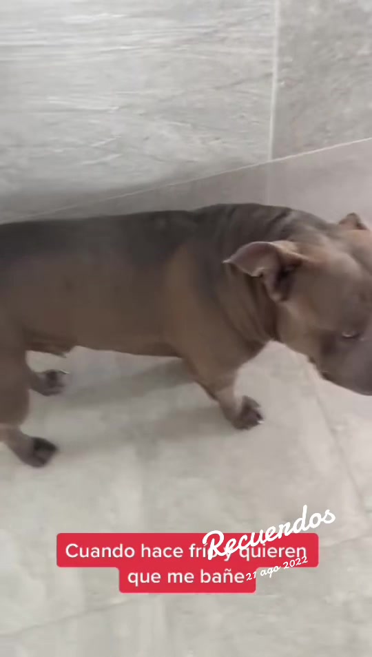 @Moncho_na_na