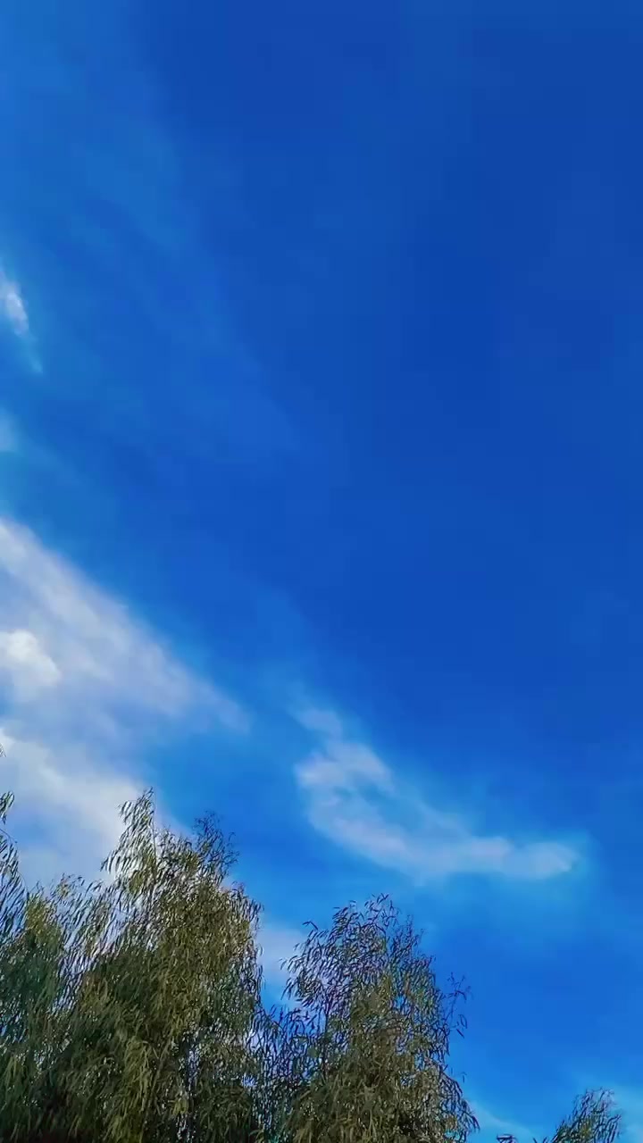 @🦅عیاش مردانی🦅