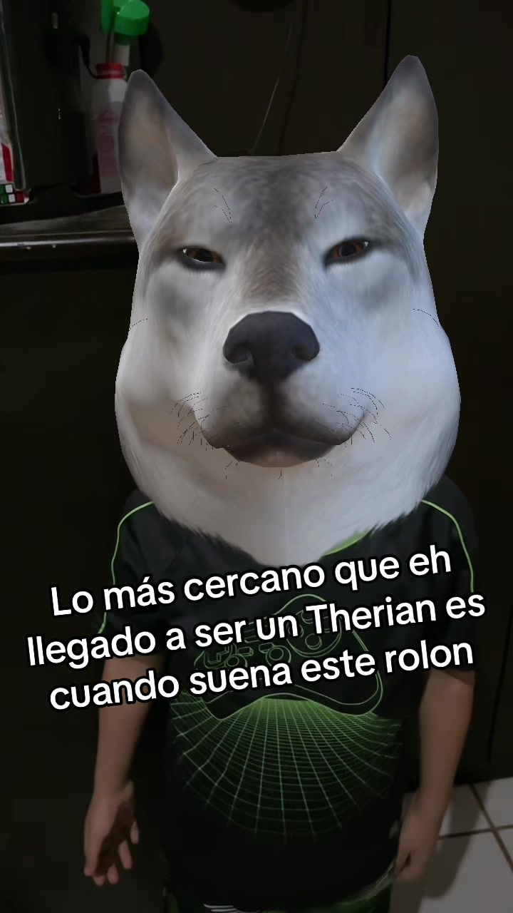 @virlan37