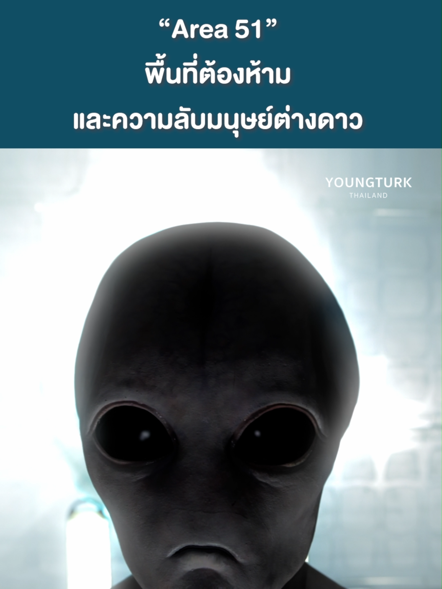 @Young Turk Thailand