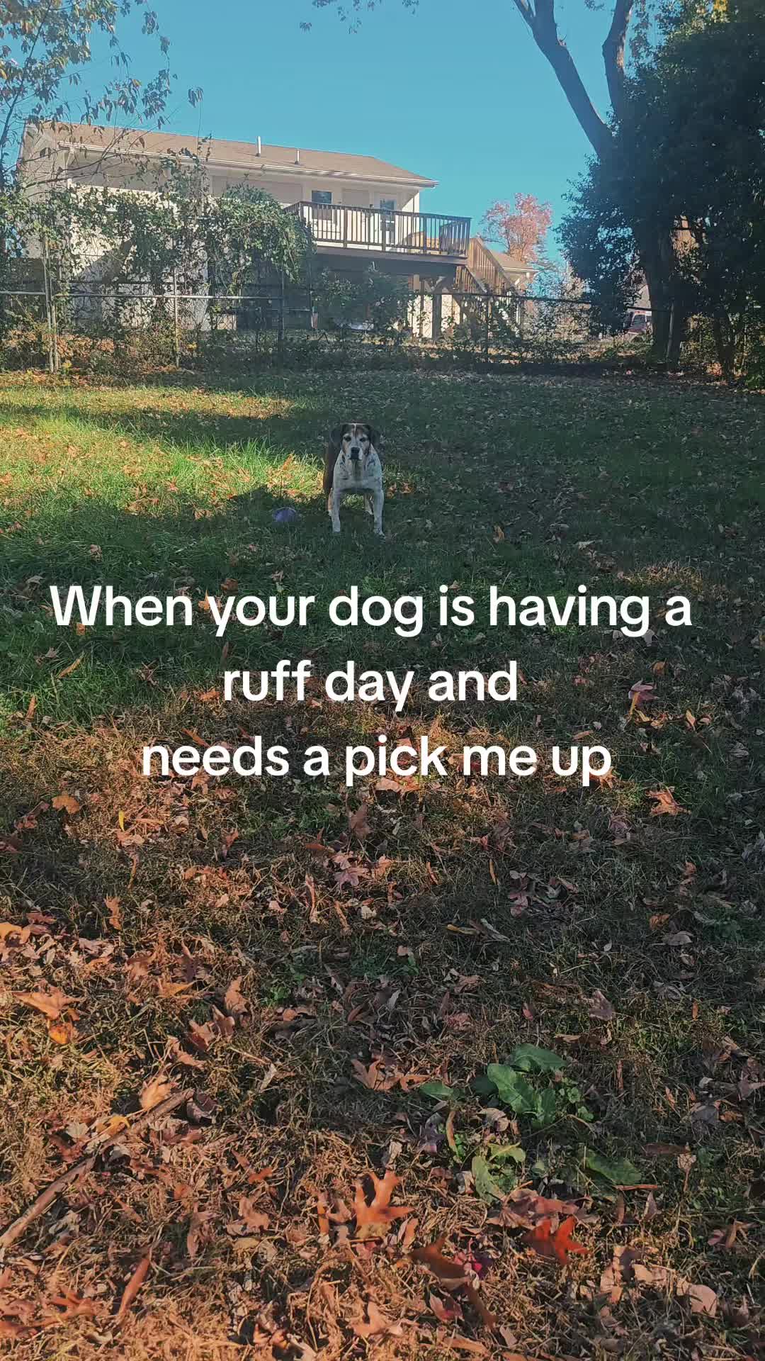 @Ezzz