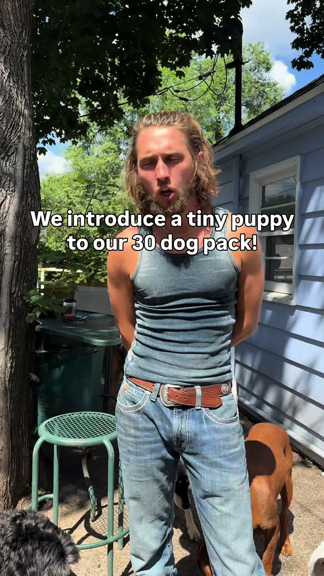 @CherryHoggs